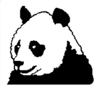panda